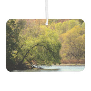 Turkey Swamp Park - Fall Leaves in NJ - Air Freshener