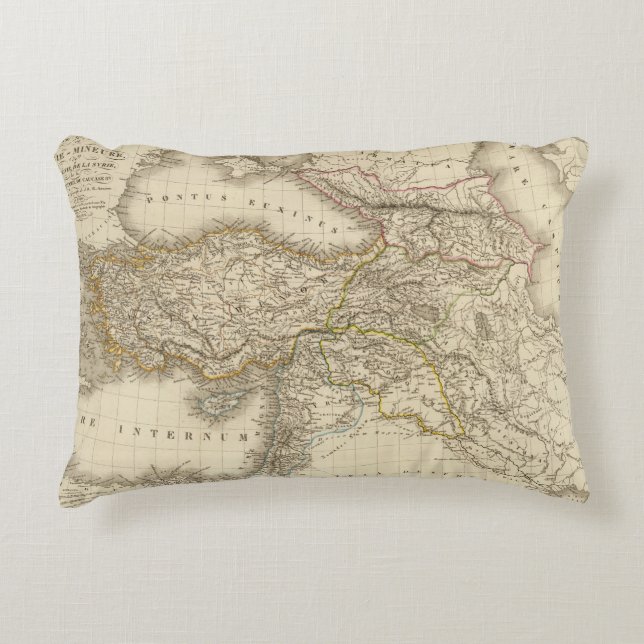 Turkey Syria map Accent Pillow (Front)