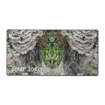 "Turkey Tail Mushrooms" 