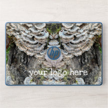 "Turkey Tail Mushrooms" 