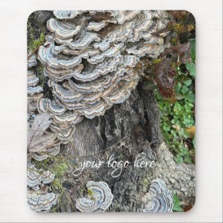 "Turkey Tail Mushrooms" Mouse Pad