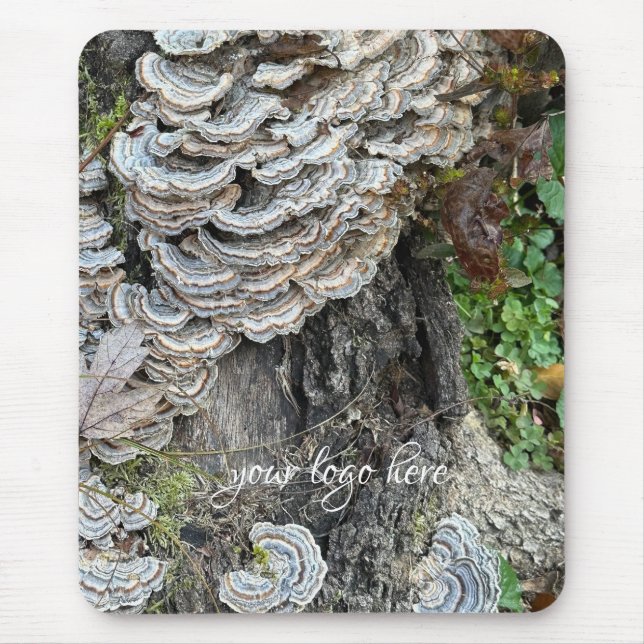 "Turkey Tail Mushrooms"  Mouse Pad (Front)