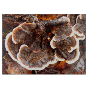 Turkey Tails Fungi Glass Chopping Board