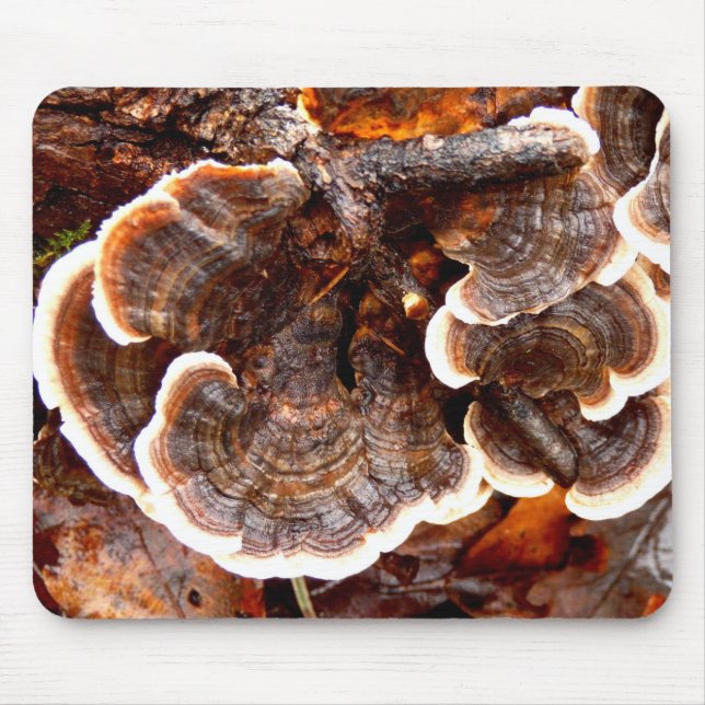 Turkey Tails Fungi Mouse Mat (Front)