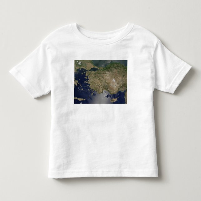 Turkey Toddler T-shirt (Front)