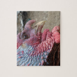 Turkey tom jigsaw puzzle