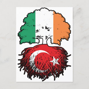 Turkey Turkish Irish Ireland Tree Roots Flag Postcard