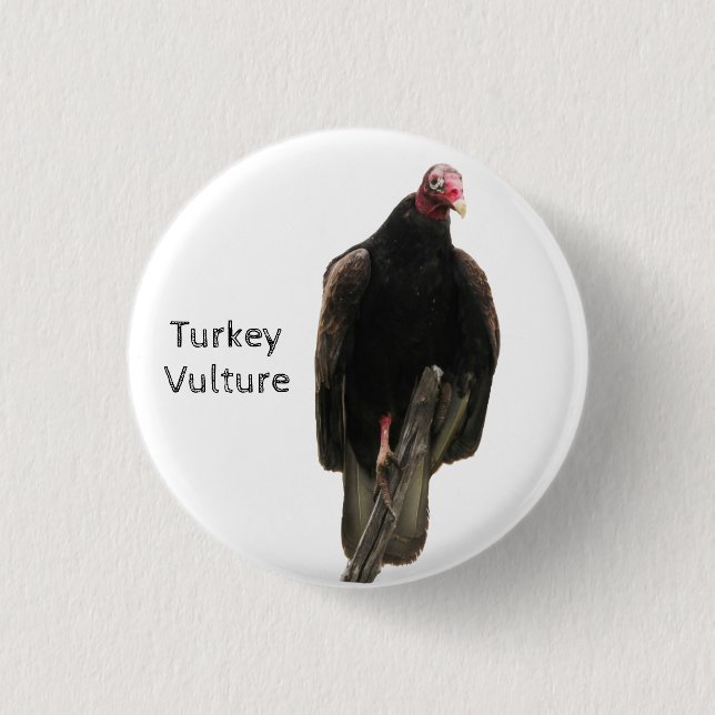 Turkey Vulture 1 Inch Round Button (Front)