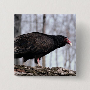 Turkey vulture 2 inch square button