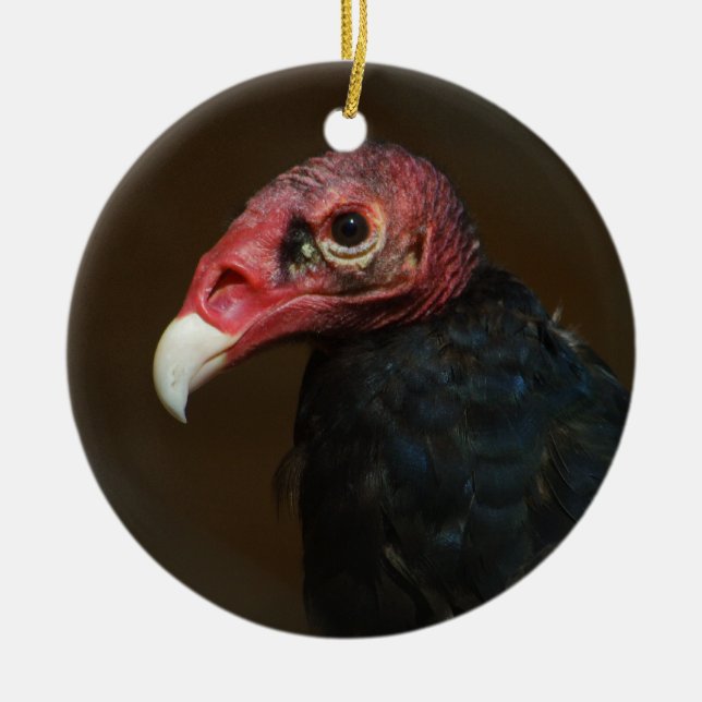 Turkey Vulture Ceramic Ornament (Front)