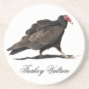 TURKEY VULTURE COASTER