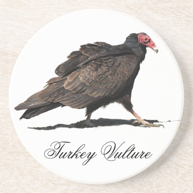 TURKEY VULTURE COASTER (Front)