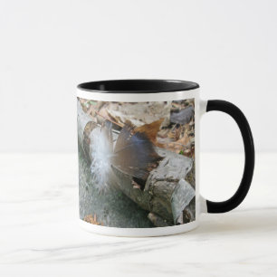 Turkey Vulture Feather Coordinating Items Mug