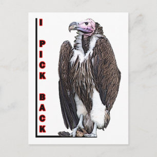 Turkey Vulture I Pick Back Posterized Photo Postcard