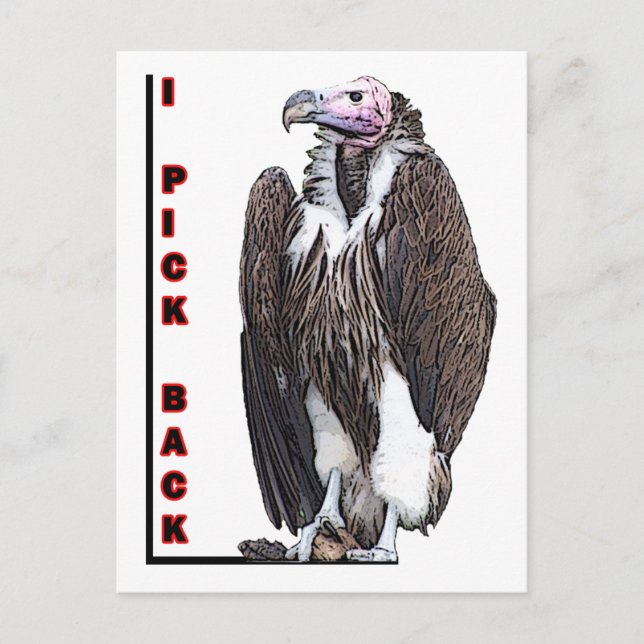 Turkey Vulture I Pick Back Posterized Photo Postcard (Front)