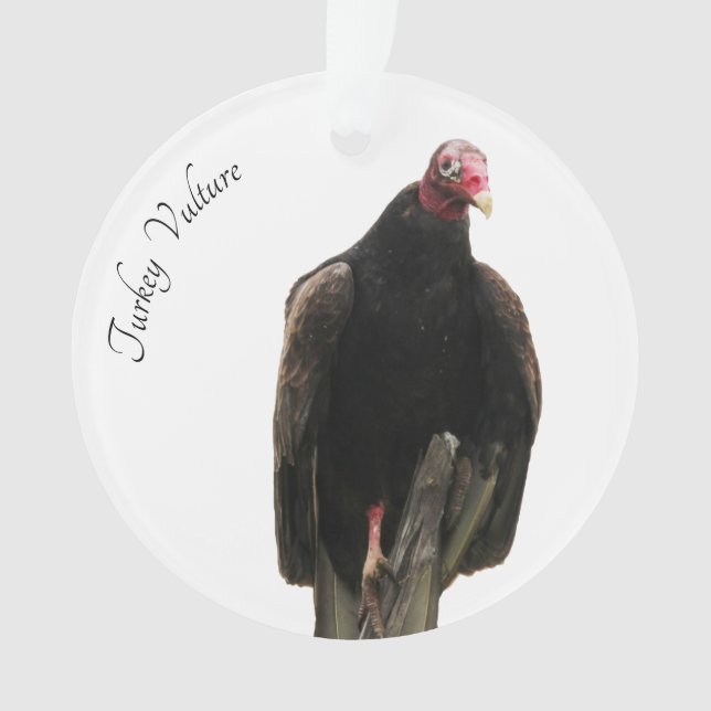 Turkey Vulture Ornament (Front)