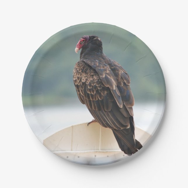 Turkey Vulture Paper Plate (Front)