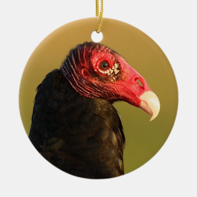 turkey vulture portrait ceramic ornament (Front)
