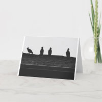Turkey Vulture Silhouette, card