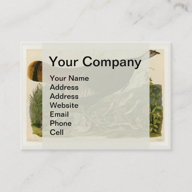Turkey Wild Audubon Bird Painting Business Card (Front)