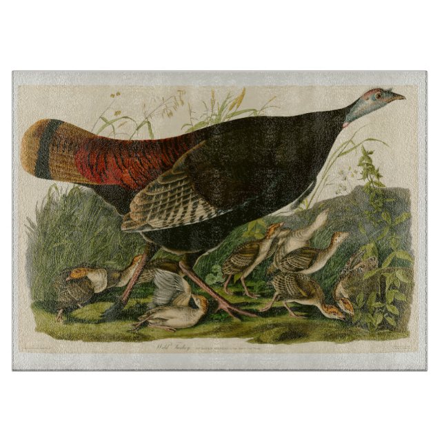 Turkey Wild Audubon Bird Painting Cutting Board (Front)