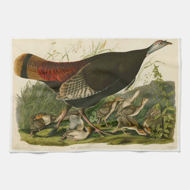 Turkey Wild Audubon Bird Painting Kitchen Towel (Horizontal)