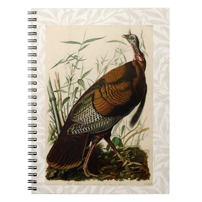 Turkey Wild Audubon Bird Painting Notebook (Front)