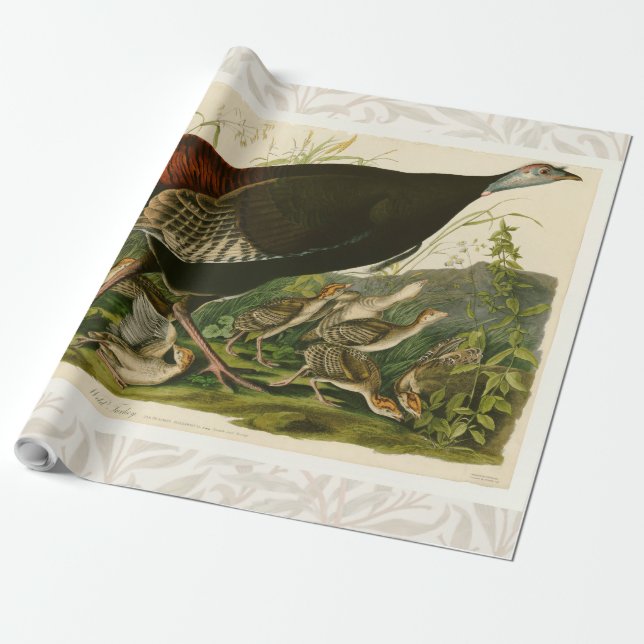 Turkey Wild Audubon Bird Painting Wrapping Paper (Unrolled)