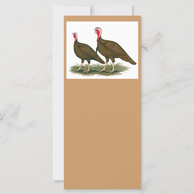 Turkeys:  Chocolate (Front)