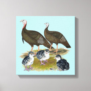 Turkeys Eastern Wild Family Canvas Print