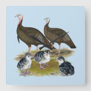 Turkeys Eastern Wild Family Square Wall Clock