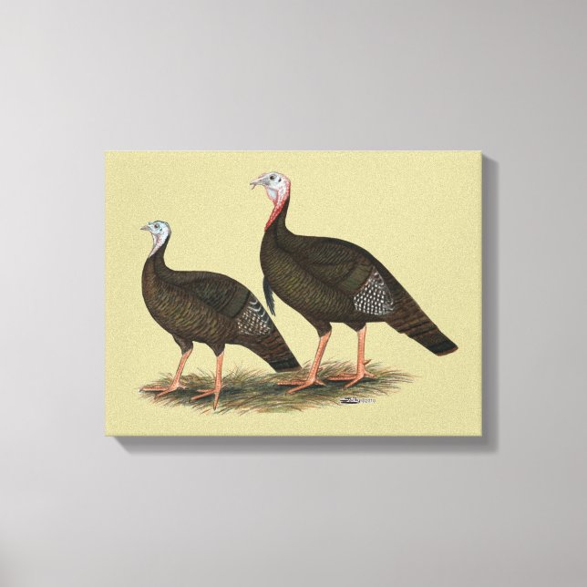 Turkeys Eastern Wild Pair Canvas Print (Front)