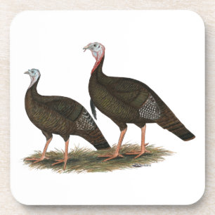 Turkeys Eastern Wild Pair Coaster