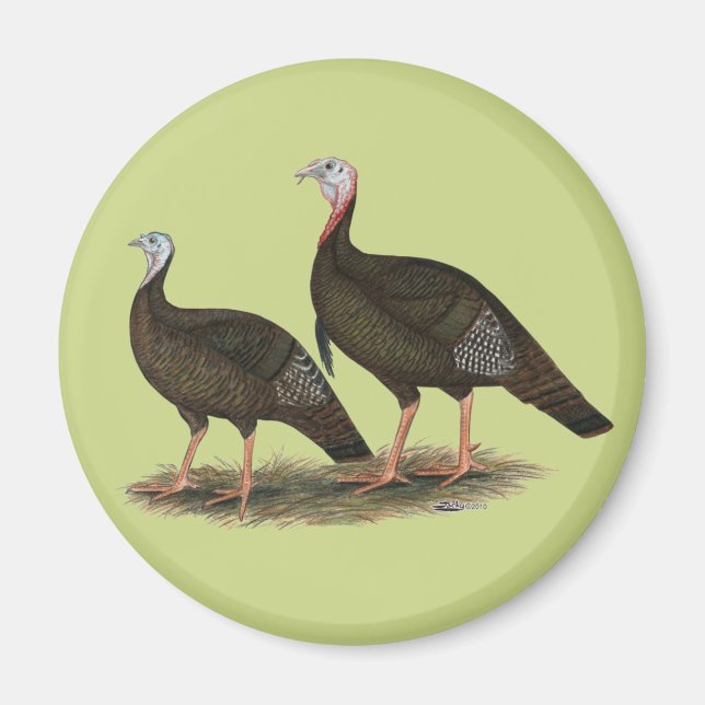 Turkeys Eastern Wild Pair Magnet (Front)