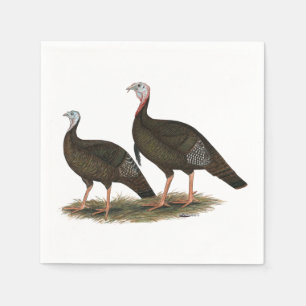 Turkeys Eastern Wild Pair Napkin