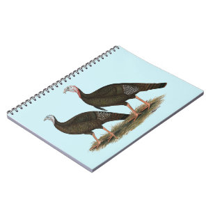 Turkeys Eastern Wild Pair Notebook