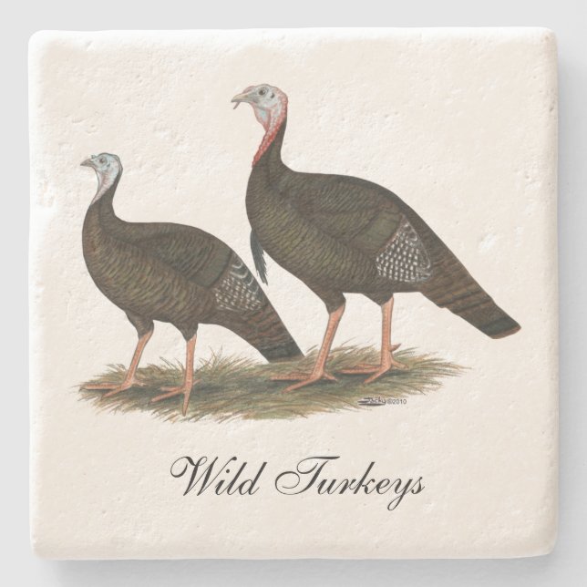 Turkeys Eastern Wild Pair Stone Coaster (Front)
