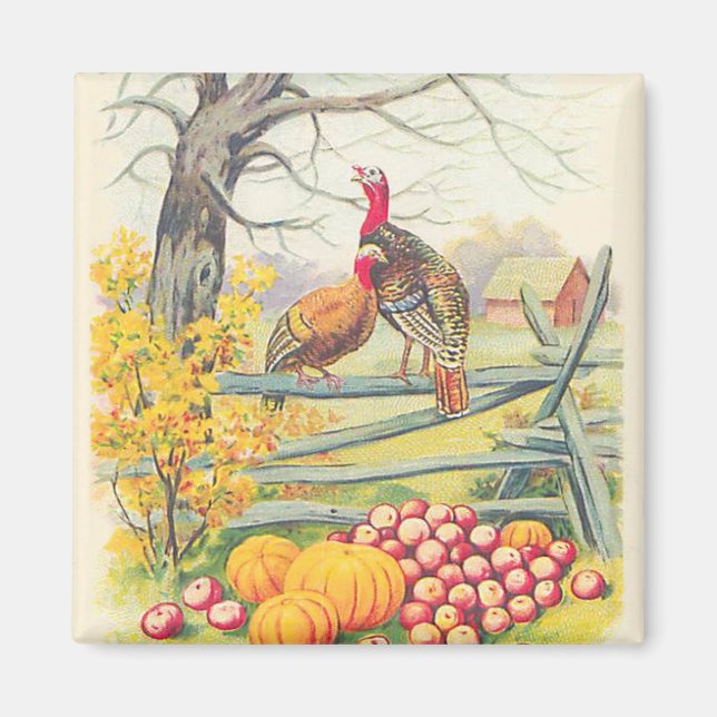 Turkeys Farm Pumpkin Apples Tree Fall Leaves Magnet (Front)