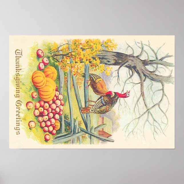 Turkeys Farm Pumpkin Apples Tree Fall Leaves Poster (Front)