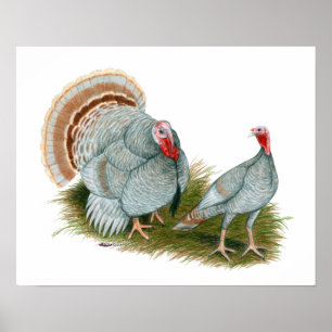 Turkeys: Lilac Poster