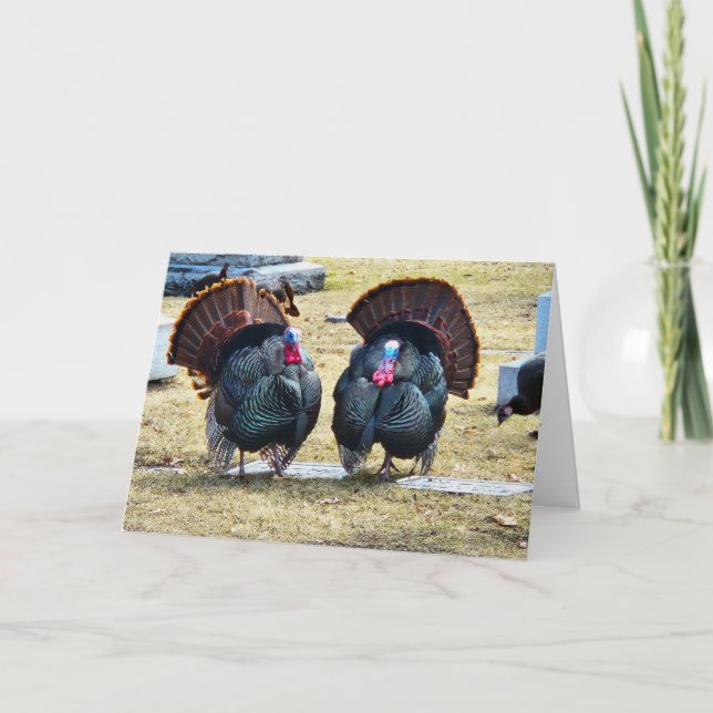 "Turkeys of a Feather" Thanksgiving Card (Front)
