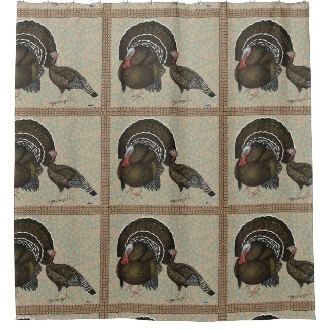 Turkeys Standard Bronze Portrait (Front)