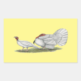 Turkeys White Holland Sticker