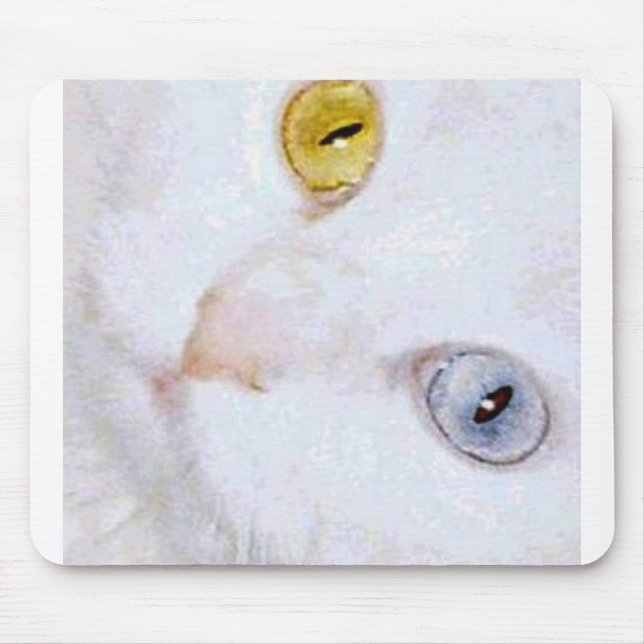 Turkish Angora- 2 different eye colours Mouse Pad (Front)