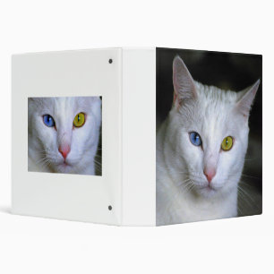 Turkish Angora Cat Binder