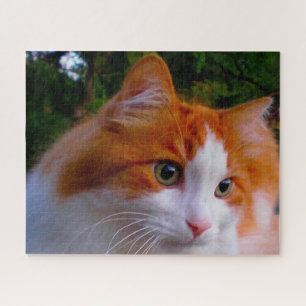 Turkish Angora Cat. Jigsaw Puzzle