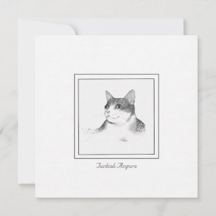 Turkish Angora Cat Picture on a Flat Note Card