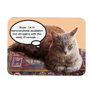 TURKISH CAT IN  TRANSCENDENTAL MEDITATION MAGNET