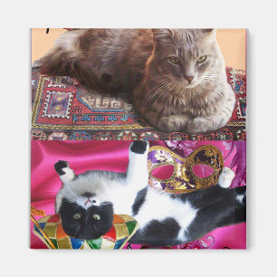 TURKISH CAT IN TRANSCENDENTAL MEDITATION MAGNET