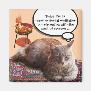 TURKISH CAT IN TRANSCENDENTAL MEDITATION MAGNET